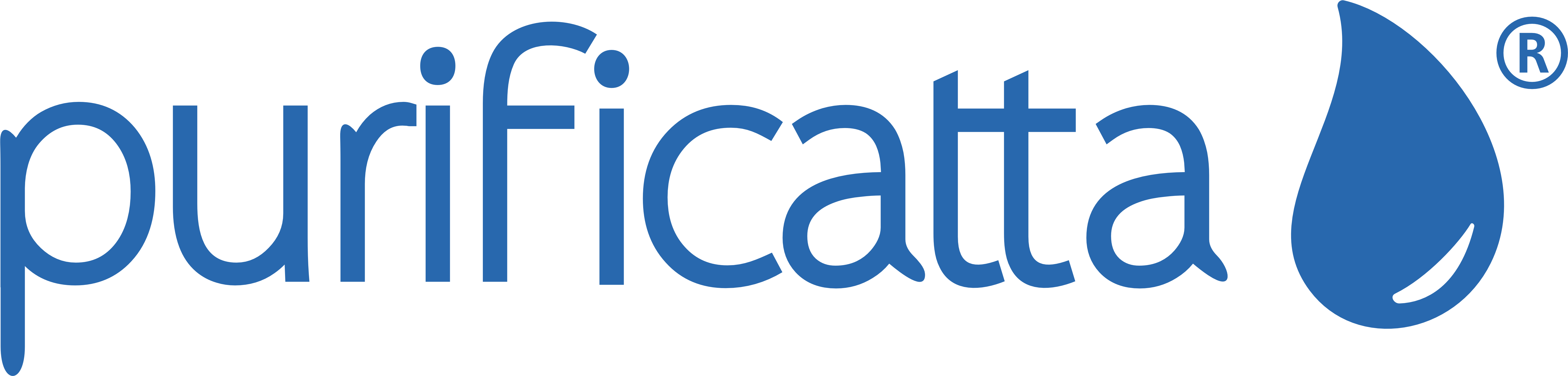 Logo Purificatta